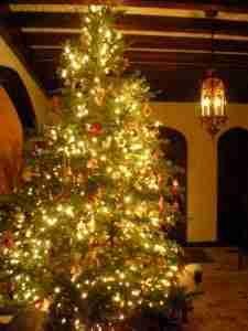 christmas loans bad credit tree