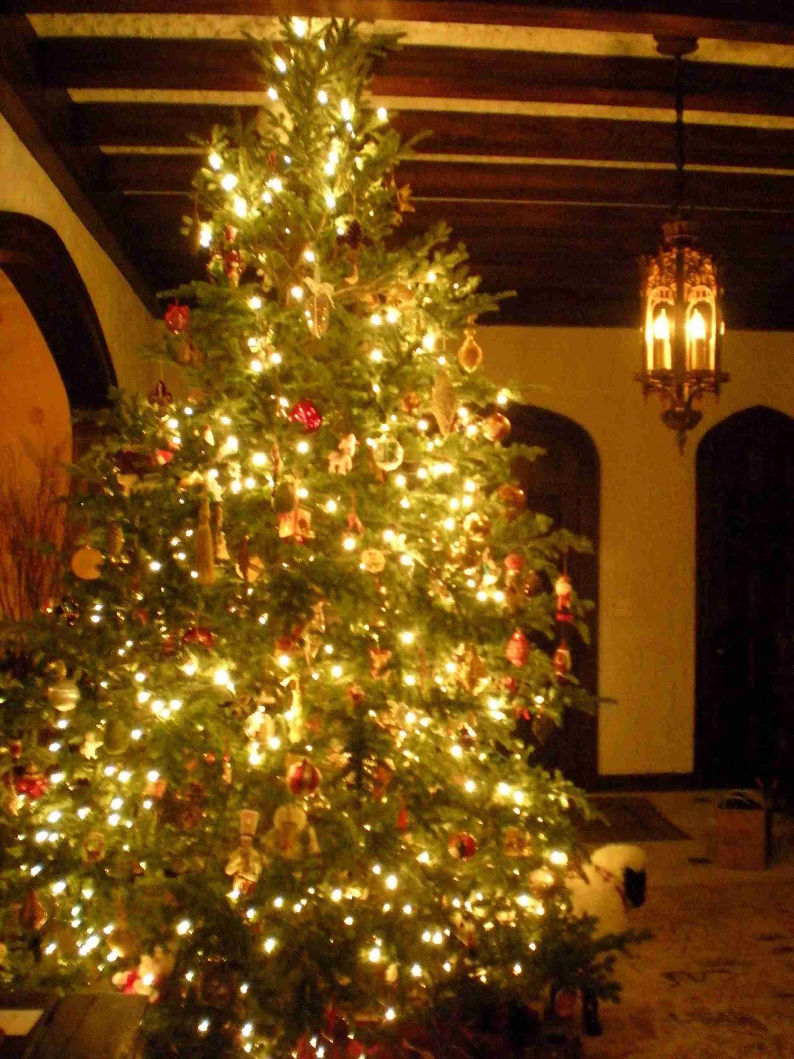 A warmly lit, decorated christmas tree stands in a cozy room, creating a festive atmosphere.