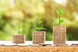 short term financing